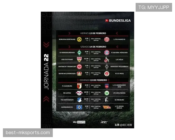 德甲转会赢家榜出炉：拜仁与多特蒙德实力显著增强，新赛季表现备受期待