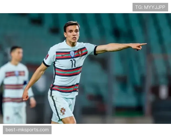 帕利尼亚大范围覆盖能力解析